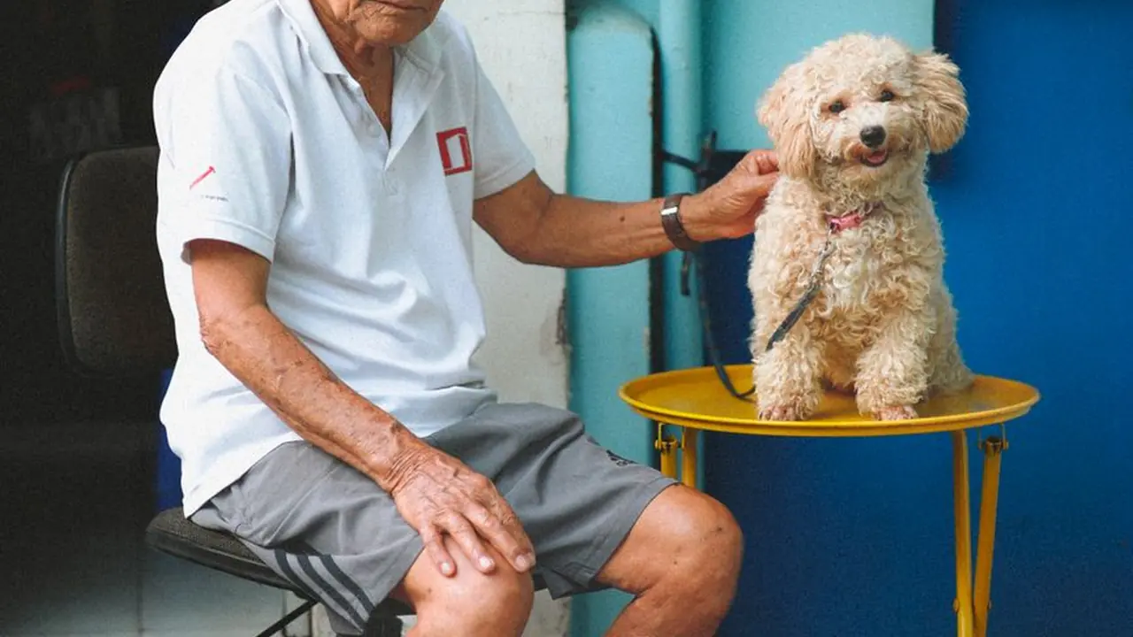 91战魂配图