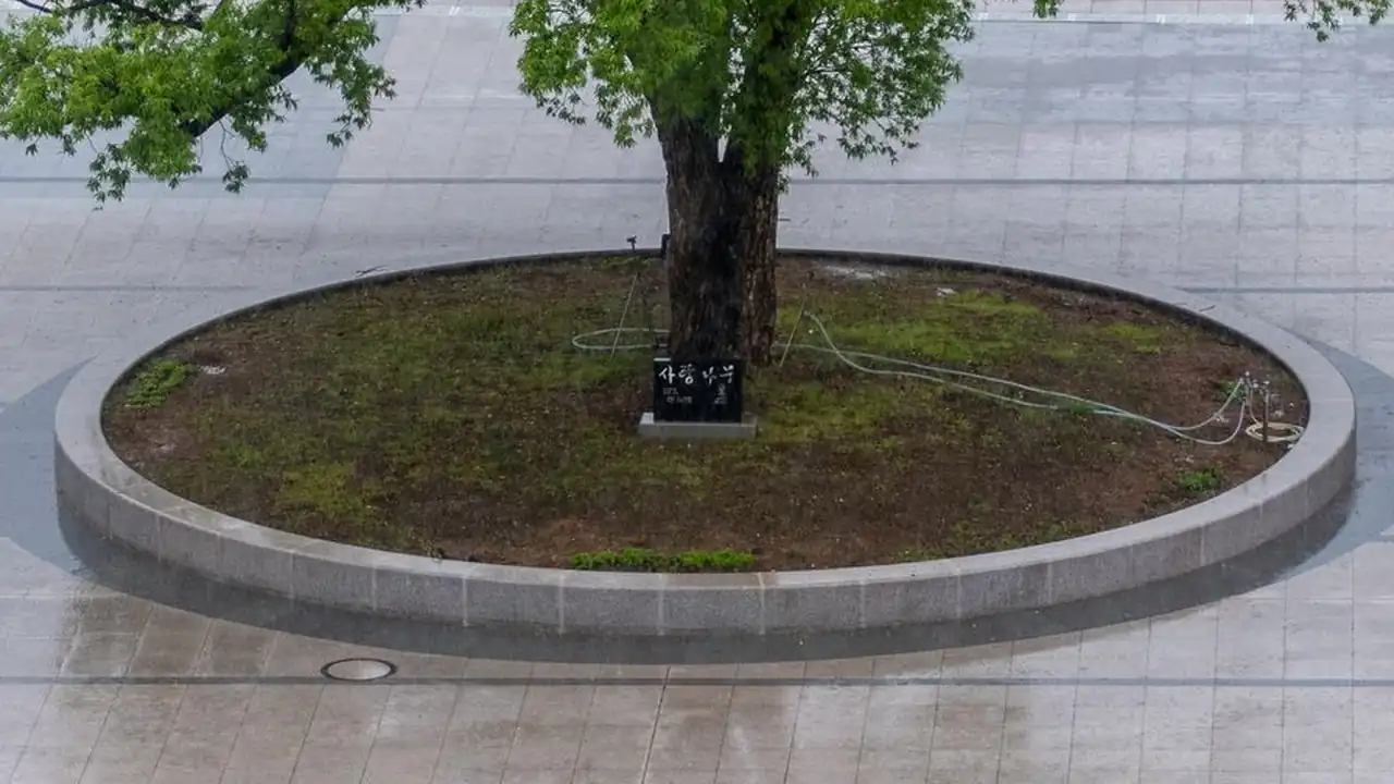 麻豆传媒电视剧在线观看网站高清版免费播放配图