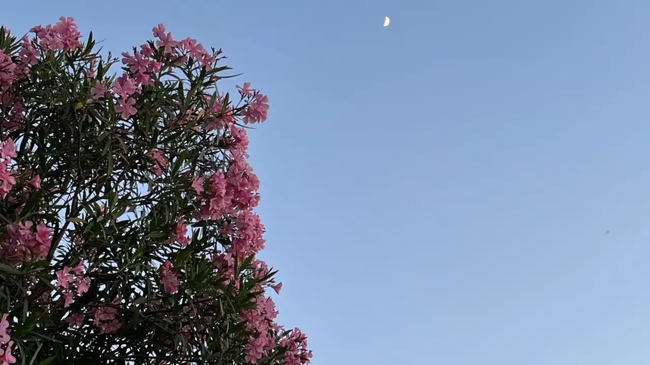 qvod 老师图片5