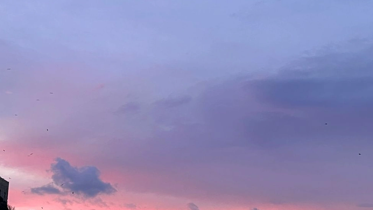 方慧吟的头像